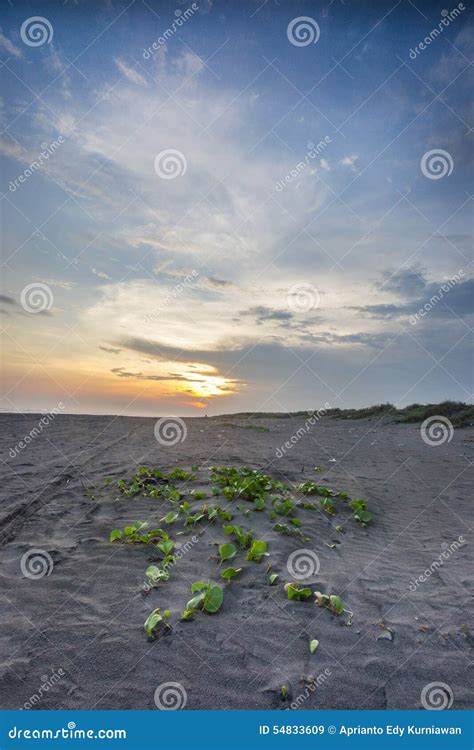 Sunset Parangtritis Beach Jogjakartaindonesia Stock Image Image Of