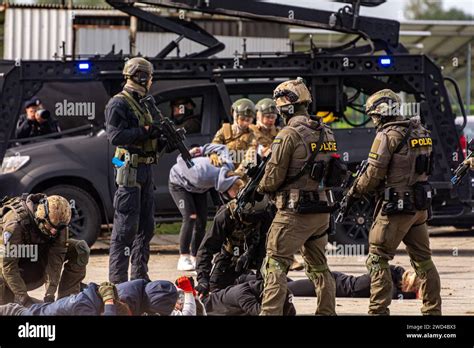 Special forces SWAT police arresting criminals and releasing hostages ...