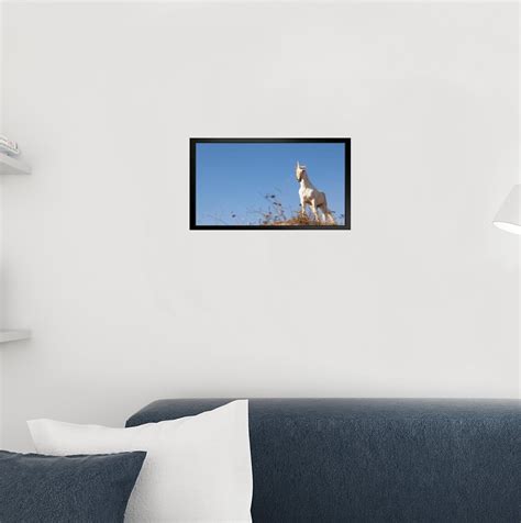 Latitude Run® Unicorn Standing On Hilltop Photo Matted Framed Art