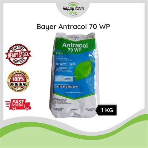 Bayer Antracol 70WP Fungicide Propineb 70 Racun Kulat Antraknos