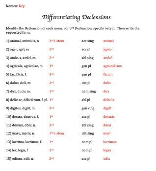 Latin Differentiating Declensions Worksheet Practicing Noun Forms