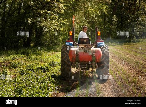 Farmer Spraying Fertilizer On Agriculture Field Stock Photo Alamy