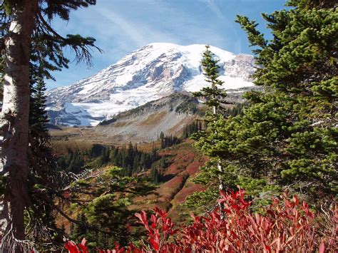 Scenic Washington State Discover The White Pass Scenic Byway