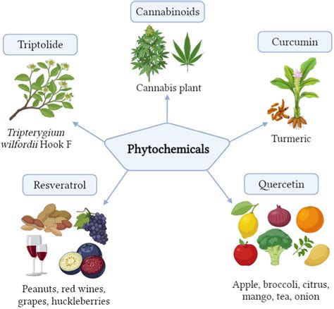 A Comprehensive Review On Phytochemicals In The Treatment And