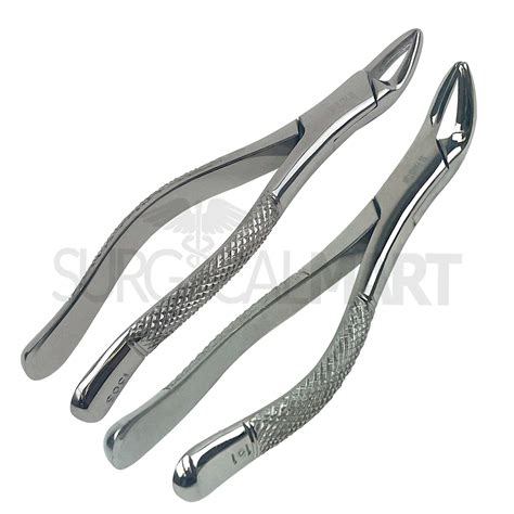 2 Dental Extraction Forceps 150s And 151s Surgical Mart