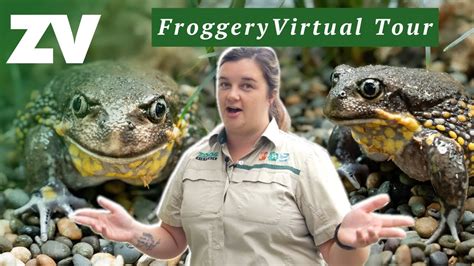 Tour The Healesville Sanctuary Froggery And Meet The Southern Giant