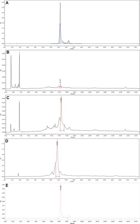 Representative Hplc Chromatograms Of A Compound Standard B U60e