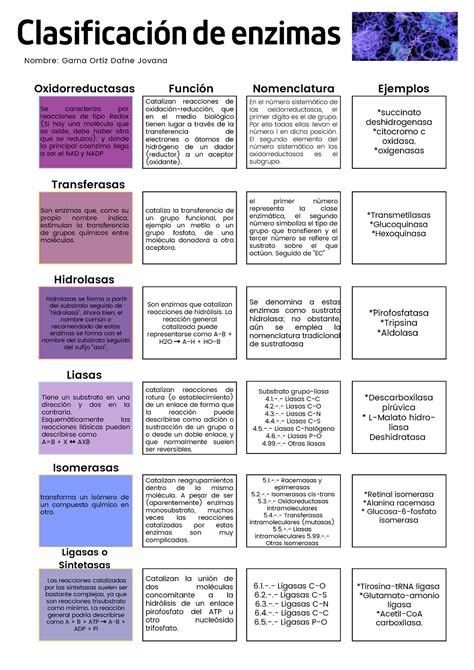 Clasificaci N De Enzimas Nomenclatura Ejemplos Y Descripci N General