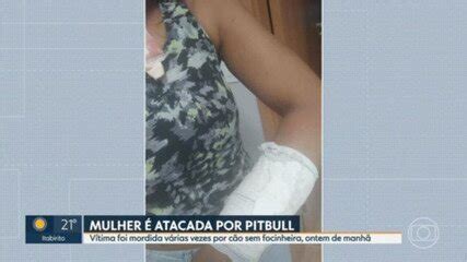 Cão da raça pitbull ataca mulher em bairro movimentado de BH Achei