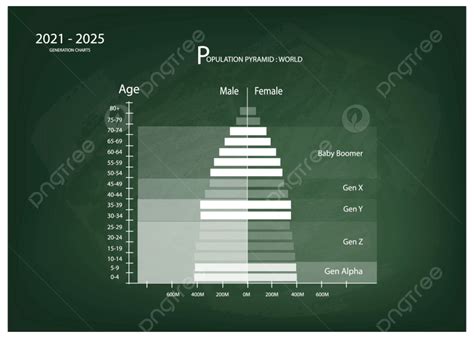 2021 2025 Population Pyramids Graphs With 5 Generation Rough Stair Trend Png And Vector With