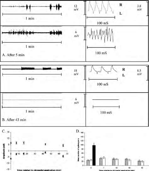 Typical Electrophysiological Responses Recorded From The Download