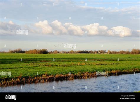 Netherlands View Of Landscape Between Gouda And Bodegraven Stock Photo