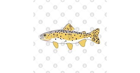 Bonneville Cutthroat Trout Trout T Shirt Teepublic