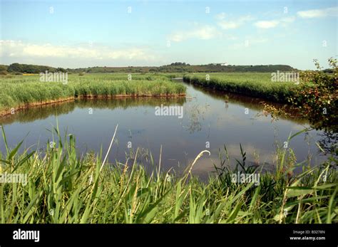 The RSPB Reserve At Minsmere In Suffolk UK Stock Photo Alamy