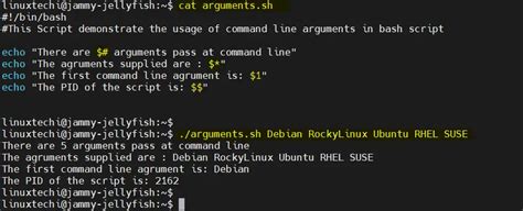 Arguments From Command Line Linux