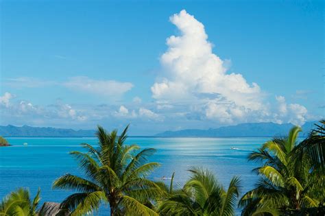 Landscape Sea Bay Water Nature Shore Sand Beach Coast Palm