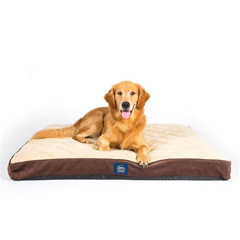 Serta Pet Bed Xl | Pets Animals US