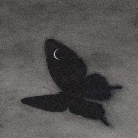 A Black And White Photo Of A Butterfly With The Moon On It S Wing