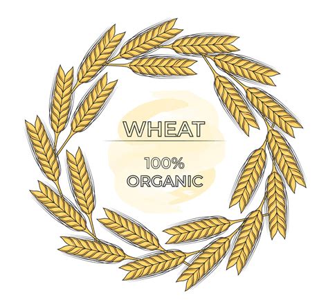 Premium Vector Wheat Wreath Vector Illustration Isolated On White