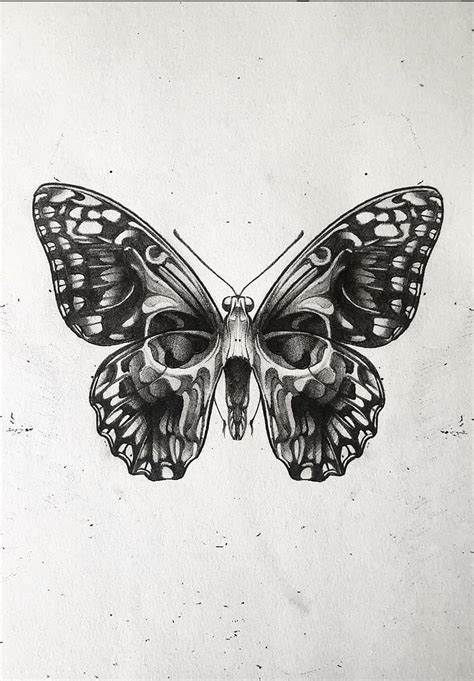 Royalty Ulysses Butterfly On Human Seashell Skull Digital Skulls And