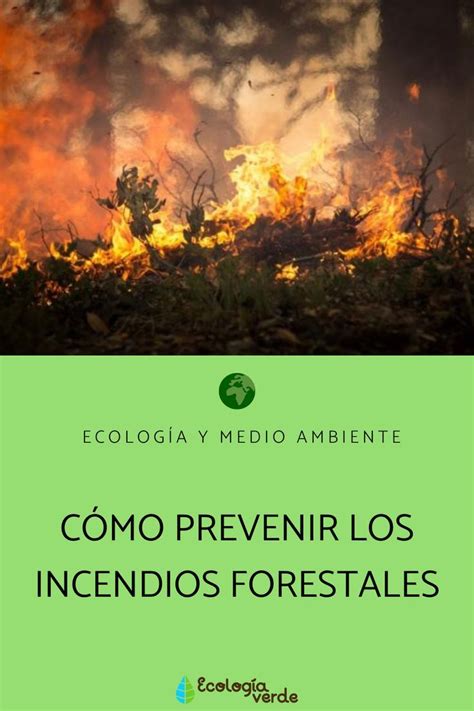 El 18 De Agosto Se Celebra El Día Mundial De La Prevención De Incendios