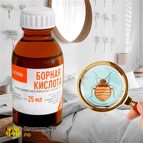 Спирт от постельных клопов - помогает или нет?