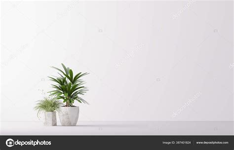 Plant Pot Isolated White Background Minimal Houseplant Home Decor