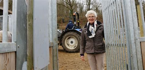 [photos] Darnétal Fini Les Box Au Haras De L étoile Les équidés Vivent En Liberté