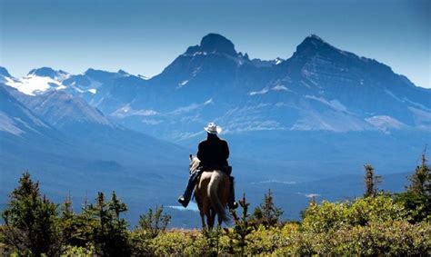 Banff Bison Cultural Report And Recommendations By The Stoney Nakoda