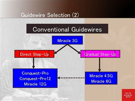 Antegrade Guidewire Basics Guidewire Tip Shaping Escalation Strategies