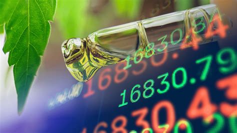 cannabis technology  growing  market faster   marijuana