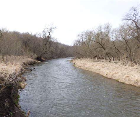 Improvements Flowing Ahead For Zumbro River Rice Soil And Water