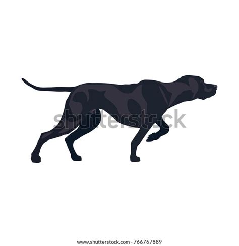 Classic Pointer Stance Gun Dog Breed Stock Vector Royalty Free 766767889