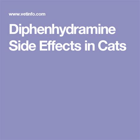 Diphenhydramine Side Effects in Cats