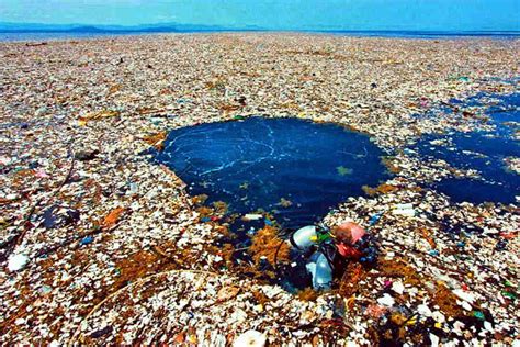 SeaChange L Ennesima Sfida All Isola Di Plastica