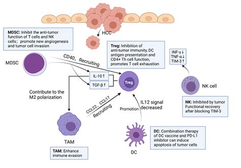 New Insights Into Checkpoint Inhibitor Immunotherapy And Its Combined Therapies In