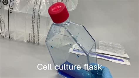 Plastic T Cell Culture Flask Surface Area Cm Youtube