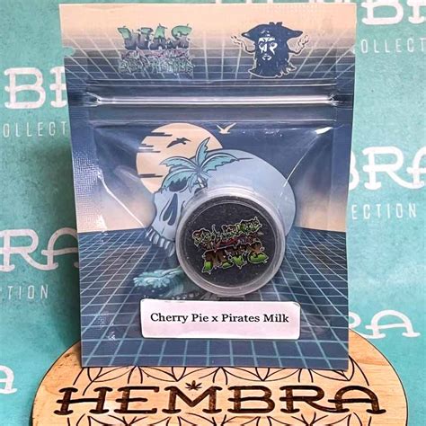 Raw Genetics Cherry Pie X Pirates Milk 5 Regular Seeds Gaslamp Seeds