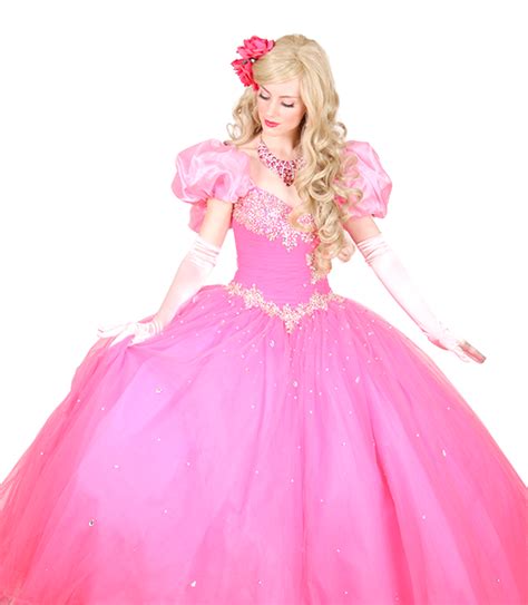 Pretty Pretty Hot Pink Princess Pretty Pretty Princess Characters