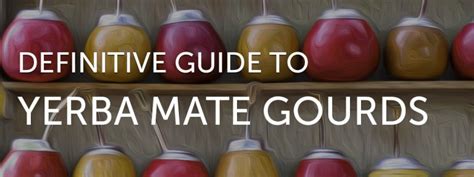 Guide To Yerba Mate Gourds Native Leaf