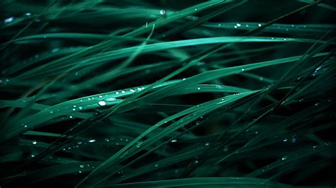 Mac Os X Full Hd Wallpapers Wallpaper Cave