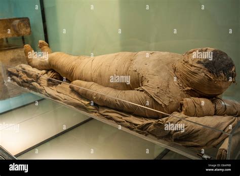 Italy Piedmont Turin Egyptian Museum mummy Stock Photo - Alamy