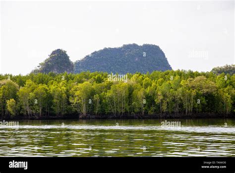 Kilim Geoforest Park Langkawi Malaysia Stock Photo Alamy