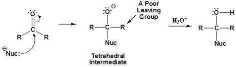 General Mechanism Of Ester Reactions Chemistry Libretexts