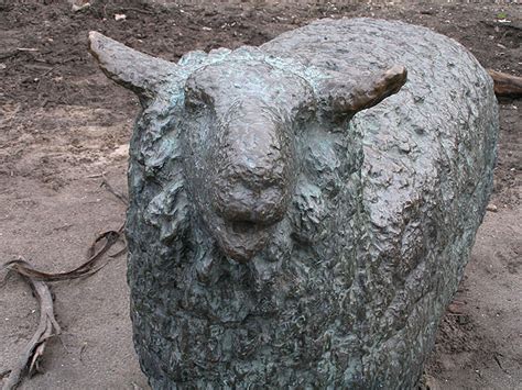 Schaap