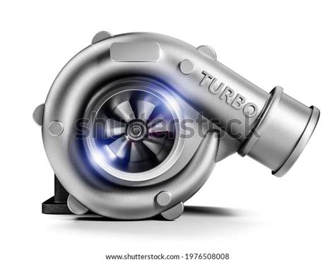 Turbo Snail Over 219 Royalty Free Licensable Stock Illustrations