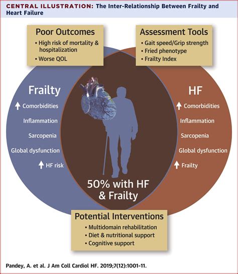 Frailty Is Intertwined With Heart Failure Mechanisms Prevalence