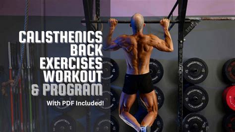 Calisthenics Back Workout The Best Back Exercises