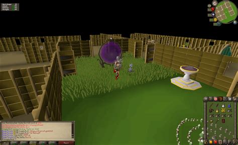 pet Thermy 261 kc! First osrs pet ever! : ironscape