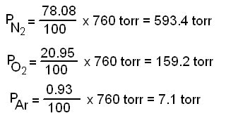 How to Calculate Partial Pressure - Kian-has-Lindsey